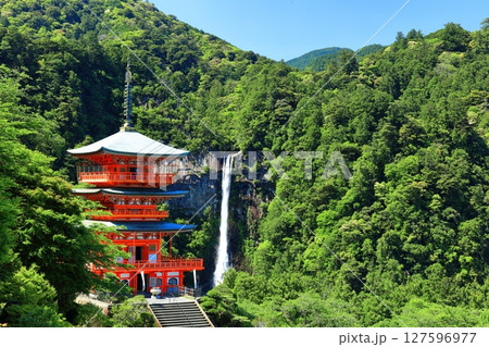 【和歌山県】快晴の青岸渡寺三重塔と那智の滝(熊野那智大社) 【和歌山県】快晴の青岸渡寺三重塔と那智の滝(熊野那智大社) 127596977