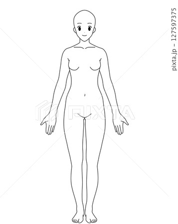 解剖学的正位　女性　正面　線画 127597375
