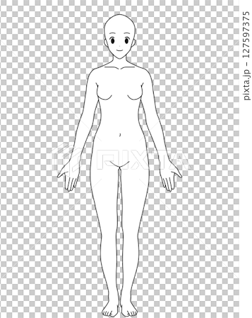 解剖学的正位　女性　正面　線画 127597375