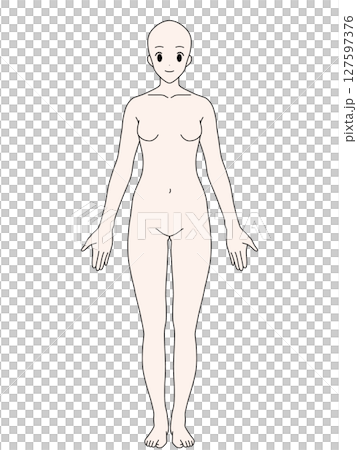 Anatomical upright female front color 127597376