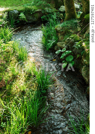 永観堂の小川 永観堂の小川 127597401