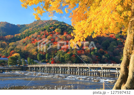 【京都府】快晴の嵐山 渡月橋と紅葉 【京都府】快晴の嵐山 渡月橋と紅葉 127597432