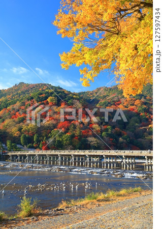 【京都府】快晴の嵐山 渡月橋と紅葉 127597434