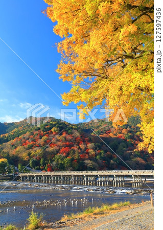 【京都府】快晴の嵐山 渡月橋と紅葉 【京都府】快晴の嵐山 渡月橋と紅葉 127597436