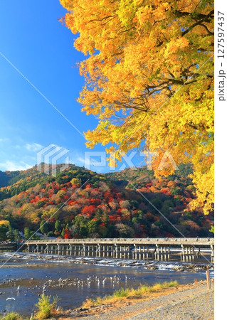 【京都府】快晴の嵐山 渡月橋と紅葉 【京都府】快晴の嵐山 渡月橋と紅葉 127597437