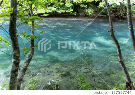 新緑の奥入瀬渓流 十和田湖ブルー 新緑の奥入瀬渓流 十和田湖ブルー 127597744