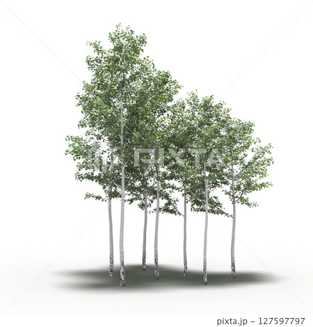 group of trees with a shadow under it, isolated on a transparent background, 3D illustration, cg render 127597797