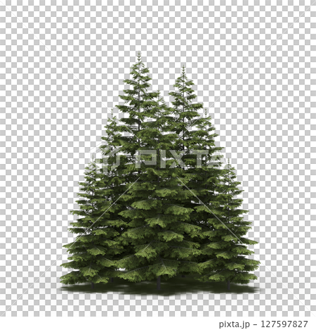 group of trees with a shadow under it, isolated on a transparent background, 3D illustration, cg render group of trees with a shadow under it, isolated on a transparent background, 3D illustration, cg render 127597827