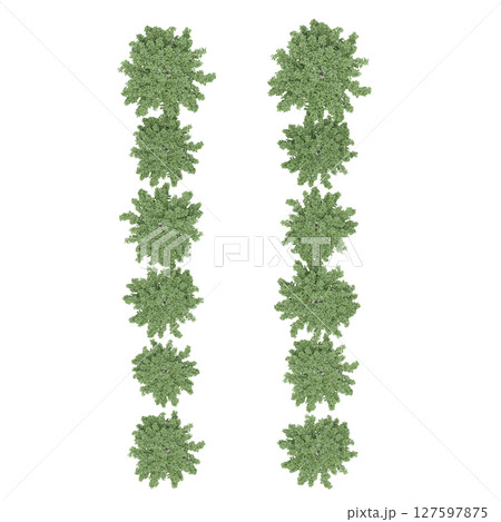 group of trees, top view, isolate on a transparent background, 3d illustration 127597875