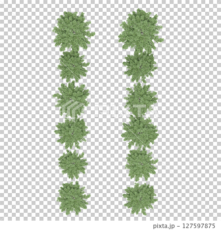 group of trees, top view, isolate on a transparent background, 3d illustration 127597875