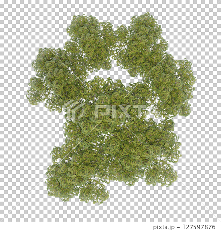 group of trees, top view, isolate on a transparent background, 3d illustration 127597876