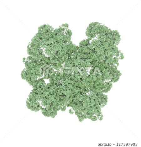 group of trees, top view, isolate on a transparent background, 3d illustration 127597905
