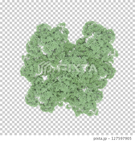 group of trees, top view, isolate on a transparent background, 3d illustration 127597905