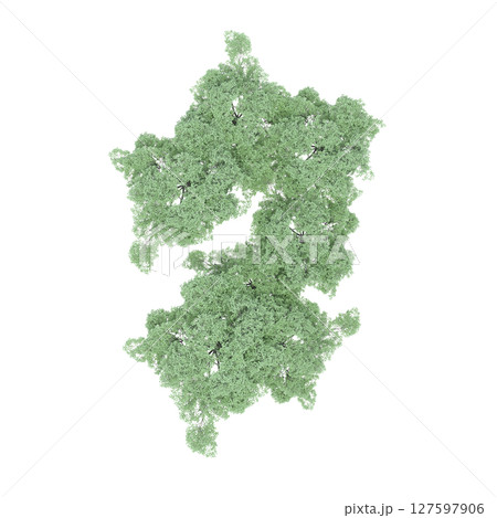 group of trees, top view, isolate on a transparent background, 3d illustration group of trees, top view, isolate on a transparent background, 3d illustration 127597906