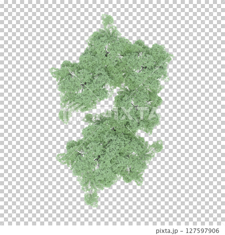 group of trees, top view, isolate on a transparent background, 3d illustration group of trees, top view, isolate on a transparent background, 3d illustration 127597906