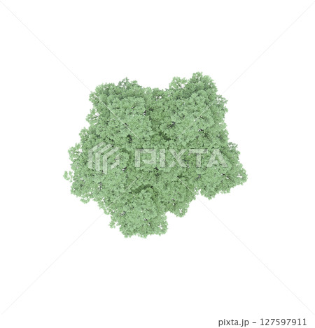 group of trees, top view, isolate on a transparent background, 3d illustration group of trees, top view, isolate on a transparent background, 3d illustration 127597911