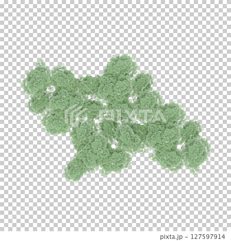 group of trees, top view, isolate on a transparent background, 3d illustration 127597914