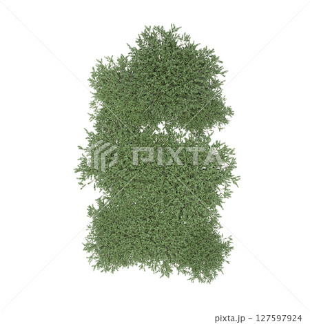 group of trees, top view, isolate on a transparent background, 3d illustration 127597924