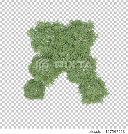 group of trees, top view, isolate on a transparent background, 3d illustration group of trees, top view, isolate on a transparent background, 3d illustration 127597928