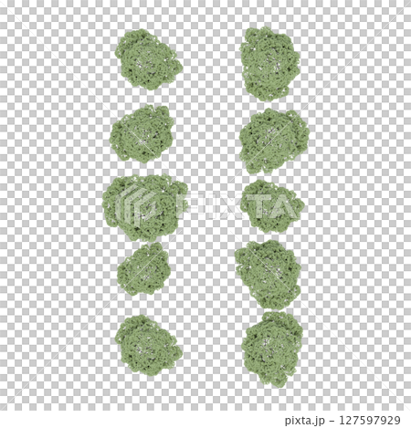 group of trees, top view, isolate on a transparent background, 3d illustration 127597929