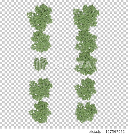 group of trees, top view, isolate on a transparent background, 3d illustration 127597931