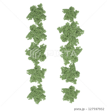 group of trees, top view, isolate on a transparent background, 3d illustration group of trees, top view, isolate on a transparent background, 3d illustration 127597932