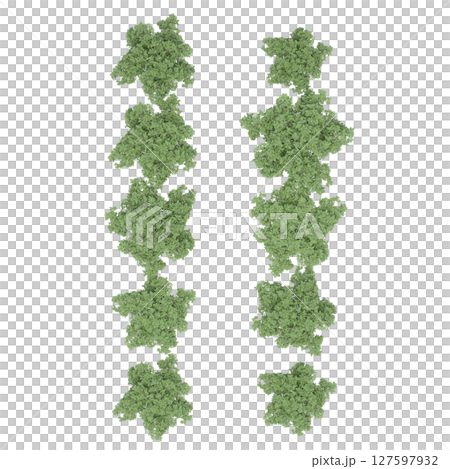 group of trees, top view, isolate on a transparent background, 3d illustration 127597932