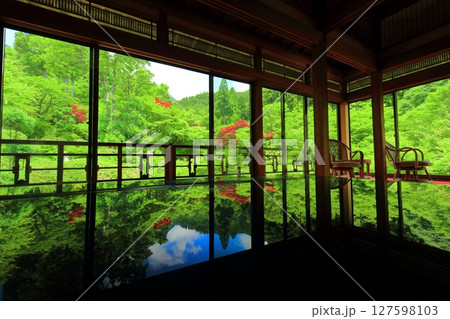 【佐賀県】新緑の環境芸術の森の風遊山荘から見た新緑 127598103