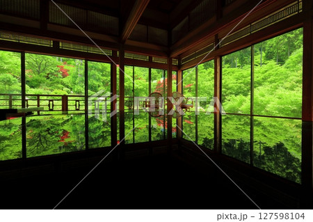 【佐賀県】新緑の環境芸術の森の風遊山荘から見た新緑 【佐賀県】新緑の環境芸術の森の風遊山荘から見た新緑 127598104