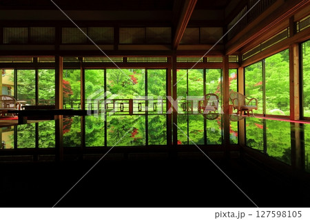 【佐賀県】新緑の環境芸術の森の風遊山荘から見た新緑 【佐賀県】新緑の環境芸術の森の風遊山荘から見た新緑 127598105