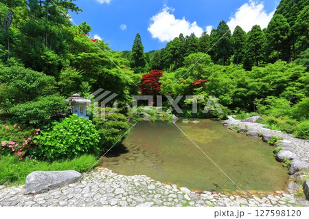 【佐賀県】新緑の環境芸術の森　新緑の庭園 127598120