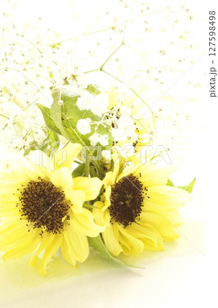 ひまわりとかすみ草のブーケ ひまわりとかすみ草のブーケ 127598498
