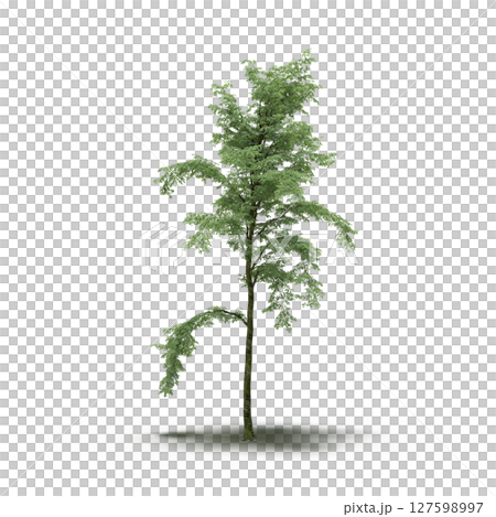 tree with a shadow under it, isolated on a transparent background, 3D illustration, cg render tree with a shadow under it, isolated on a transparent background, 3D illustration, cg render 127598997