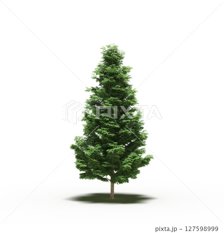 tree with a shadow under it, isolated on a transparent background, 3D illustration, cg render 127598999