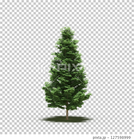 tree with a shadow under it, isolated on a transparent background, 3D illustration, cg render tree with a shadow under it, isolated on a transparent background, 3D illustration, cg render 127598999