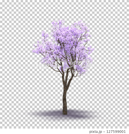 tree with a shadow under it, isolated on a transparent background, 3D illustration, cg render tree with a shadow under it, isolated on a transparent background, 3D illustration, cg render 127599001