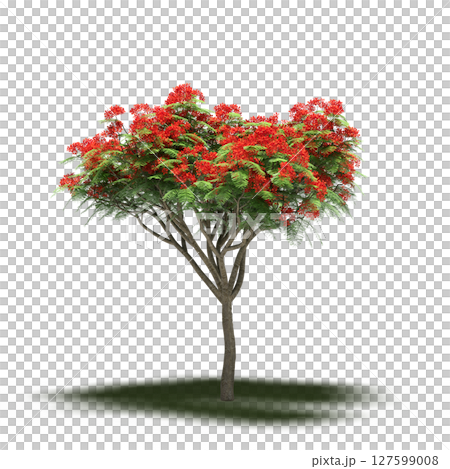 tree with a shadow under it, isolated on a transparent background, 3D illustration, cg render tree with a shadow under it, isolated on a transparent background, 3D illustration, cg render 127599008