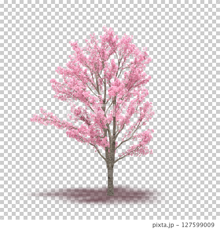 tree with a shadow under it, isolated on a transparent background, 3D illustration, cg render 127599009