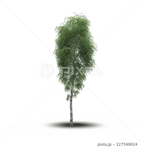 tree with a shadow under it, isolated on a transparent background, 3D illustration, cg render tree with a shadow under it, isolated on a transparent background, 3D illustration, cg render 127599024