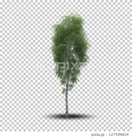 tree with a shadow under it, isolated on a transparent background, 3D illustration, cg render tree with a shadow under it, isolated on a transparent background, 3D illustration, cg render 127599024
