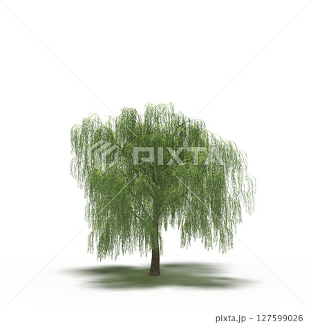 tree with a shadow under it, isolated on a transparent background, 3D illustration, cg render tree with a shadow under it, isolated on a transparent background, 3D illustration, cg render 127599026