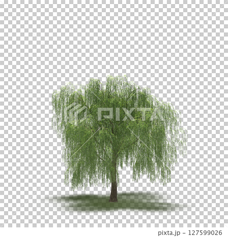 tree with a shadow under it, isolated on a transparent background, 3D illustration, cg render tree with a shadow under it, isolated on a transparent background, 3D illustration, cg render 127599026