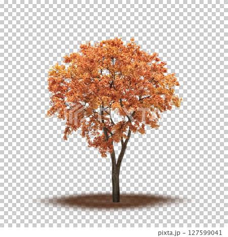 tree with a shadow under it, isolated on a transparent background, 3D illustration, cg render tree with a shadow under it, isolated on a transparent background, 3D illustration, cg render 127599041