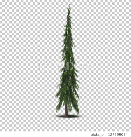 tree with a shadow under it, isolated on a transparent background, 3D illustration, cg render tree with a shadow under it, isolated on a transparent background, 3D illustration, cg render 127599054