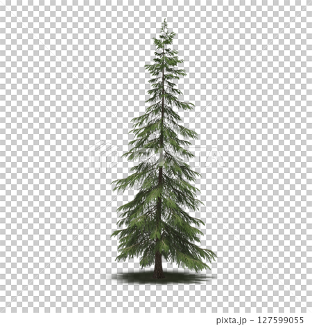 tree with a shadow under it, isolated on a transparent background, 3D illustration, cg render tree with a shadow under it, isolated on a transparent background, 3D illustration, cg render 127599055