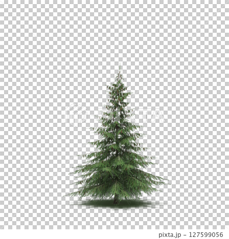 tree with a shadow under it, isolated on a transparent background, 3D illustration, cg render tree with a shadow under it, isolated on a transparent background, 3D illustration, cg render 127599056