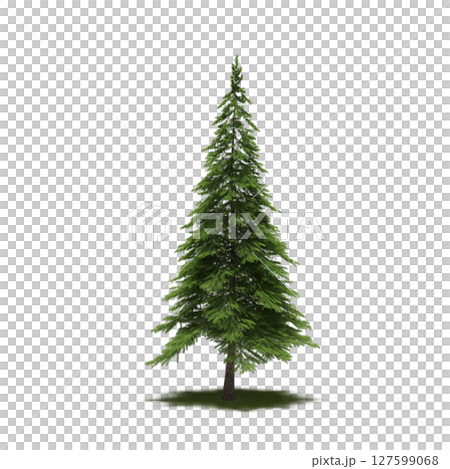 tree with a shadow under it, isolated on a transparent background, 3D illustration, cg render tree with a shadow under it, isolated on a transparent background, 3D illustration, cg render 127599068