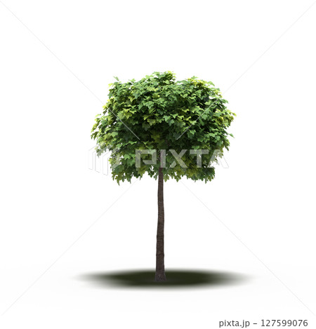 tree with a shadow under it, isolated on a transparent background, 3D illustration, cg render tree with a shadow under it, isolated on a transparent background, 3D illustration, cg render 127599076