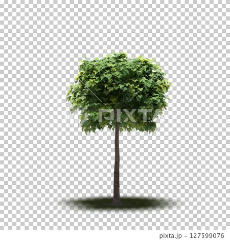 tree with a shadow under it, isolated on a transparent background, 3D illustration, cg render tree with a shadow under it, isolated on a transparent background, 3D illustration, cg render 127599076