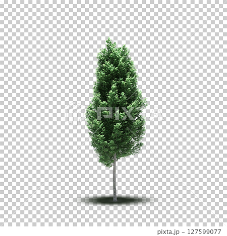 tree with a shadow under it, isolated on a transparent background, 3D illustration, cg render 127599077